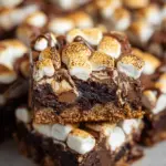S'mores Brownies Recipe 27 S'mores Brownies Recipe