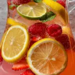 Sparkling Lemonade Punch Recipe 18 Sparkling Lemonade Punch Recipe