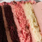 Neapolitan Layer Cake 56 Neapolitan Layer Cake