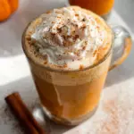 Pumpkin Spice Milk Recipe