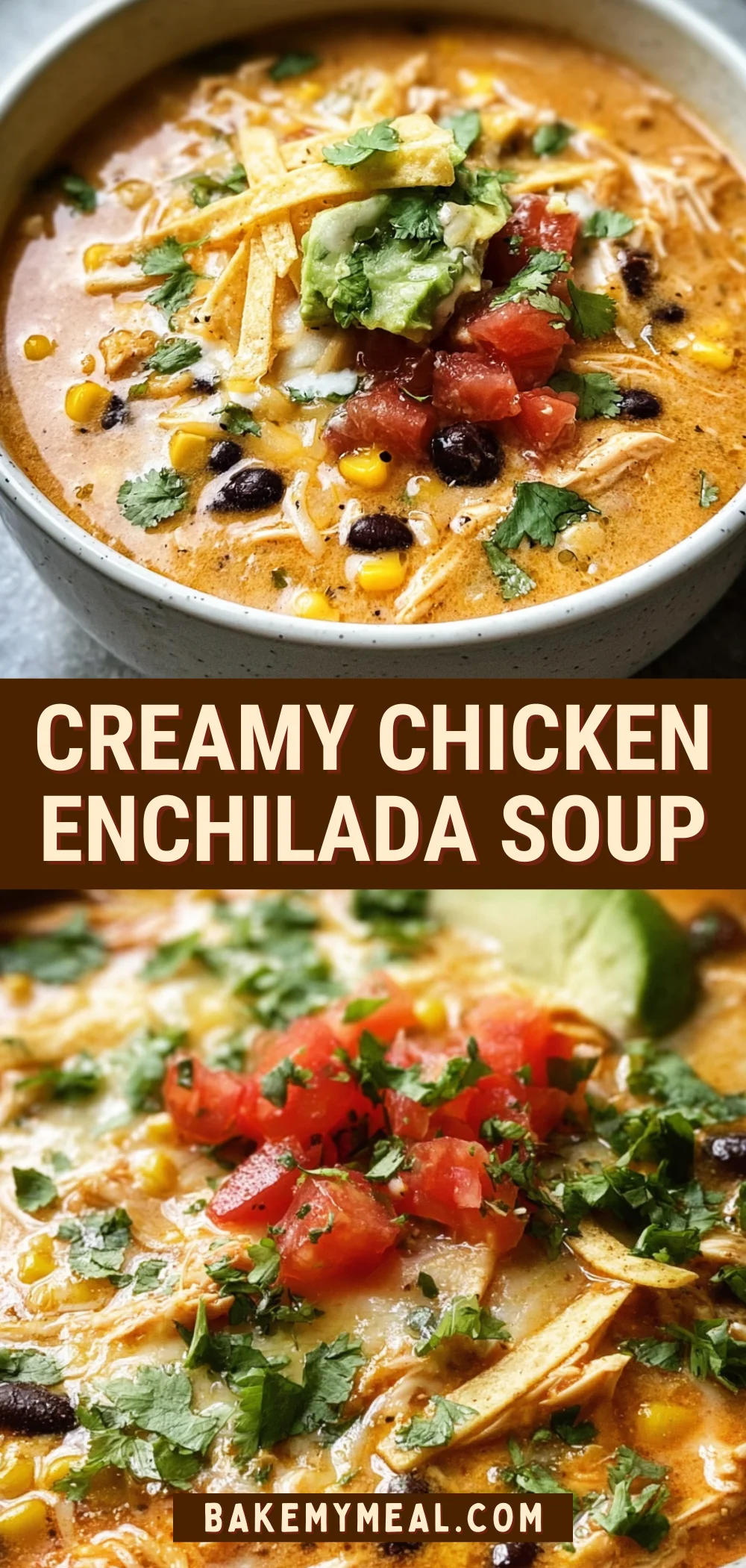 Creamy Chicken Enchilada Soup 21 Pinterest Hidden Image