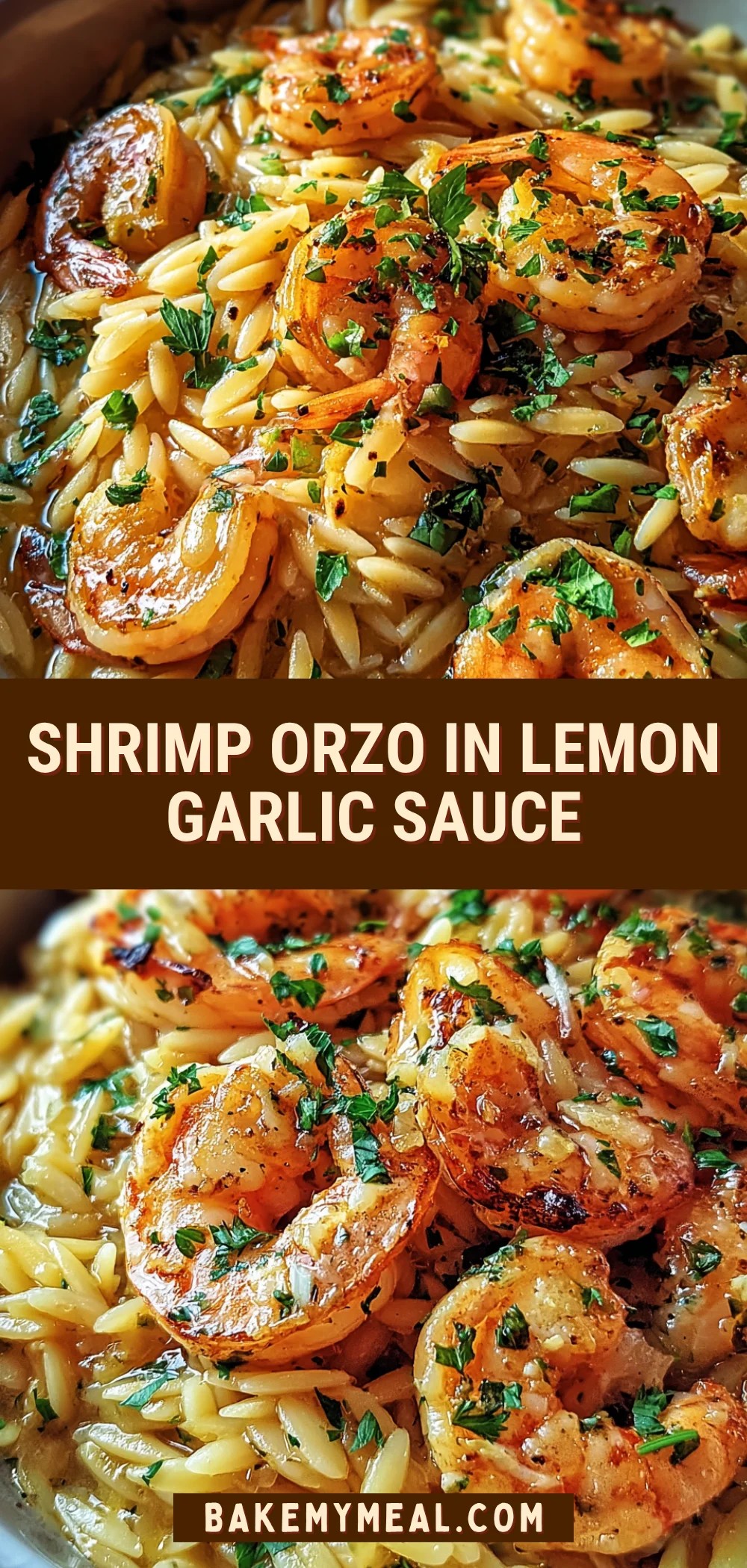 Shrimp Orzo in Lemon Garlic Sauce 20 Pinterest Hidden Image