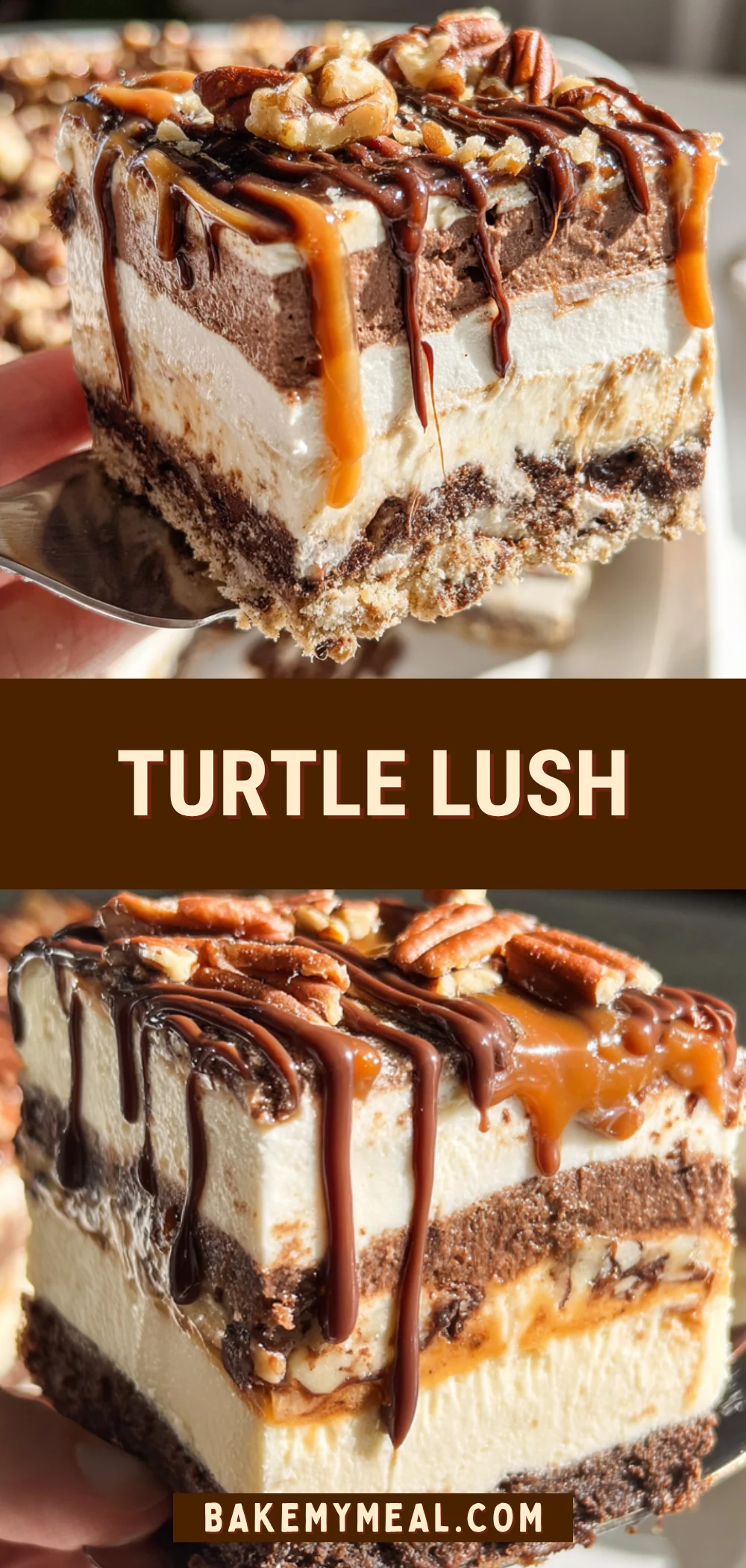 Turtle Lush 21 Pinterest Hidden Image